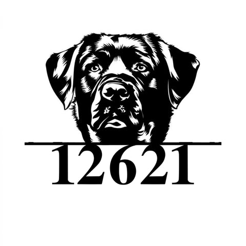 12621/black labrador/BLACK