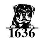 1636/rottweiler sign/BLACK