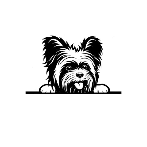 yorkie sign/BLACK